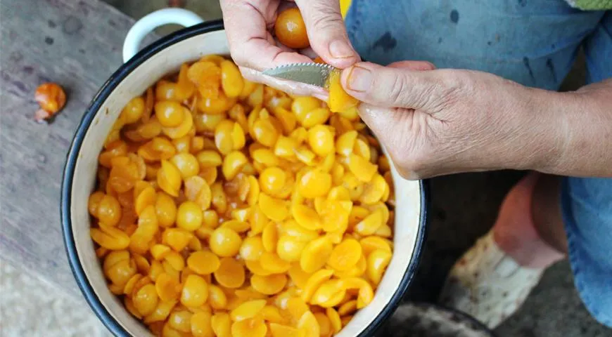 Si consiglia di preparare la marmellata di prugne il giorno dell'acquisto della frutta, selezionando con cura i frutti non rovinati